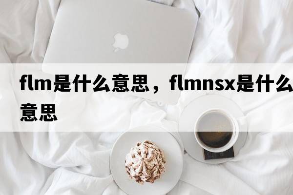 flm是什么意思，flmnsx是什么意思
