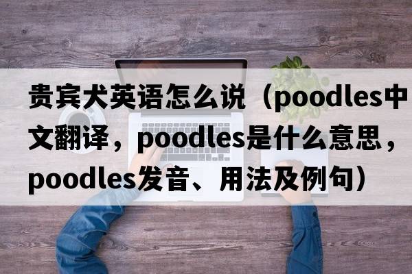 貴賓犬英語(yǔ)怎么說(shuō)（poodles中文翻譯，poodles是什么意思，poodles發(fā)音、用法及例句）