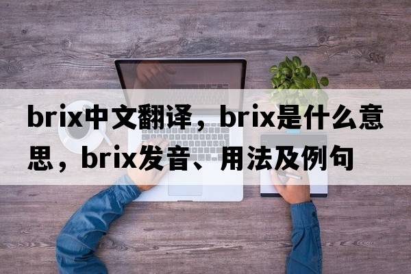 Brix中文翻譯，Brix是什么意思，Brix發(fā)音、用法及例句