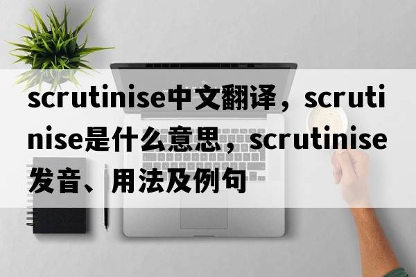 scrutinise中文翻譯，scrutinise是什么意思，scrutinise發(fā)音、用法及例句