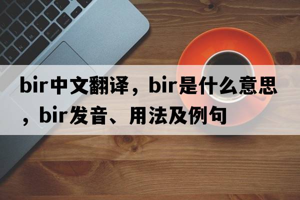 bir中文翻譯，bir是什么意思，bir發(fā)音、用法及例句