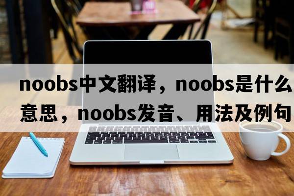 noobs中文翻譯，noobs是什么意思，noobs發(fā)音、用法及例句