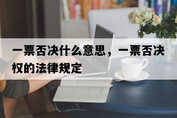 一票否決什么意思，一票否決權(quán)的法律規(guī)定
