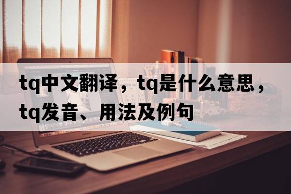 tq中文翻譯，tq是什么意思，tq發(fā)音、用法及例句
