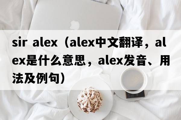 sir alex（alex中文翻譯，alex是什么意思，alex發(fā)音、用法及例句）