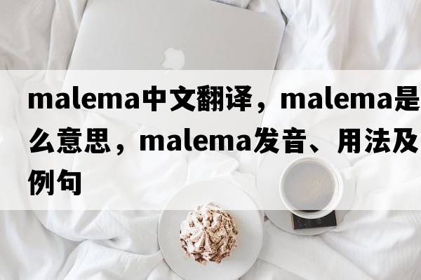 Malema中文翻譯，Malema是什么意思，Malema發(fā)音、用法及例句