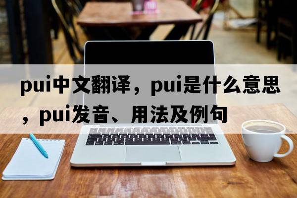 PUI中文翻譯，PUI是什么意思，PUI發(fā)音、用法及例句