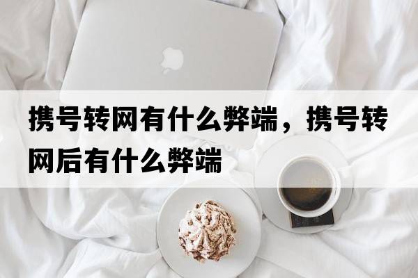 攜號(hào)轉(zhuǎn)網(wǎng)有什么弊端，攜號(hào)轉(zhuǎn)網(wǎng)后有什么弊端