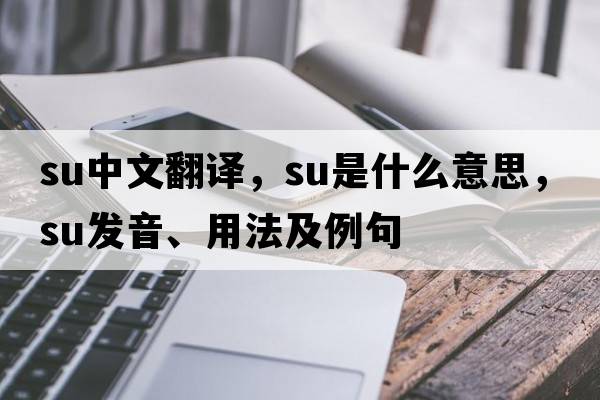 su中文翻譯，su是什么意思，su發(fā)音、用法及例句