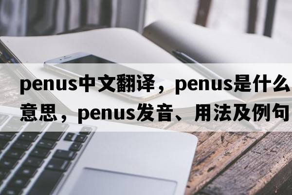 penus中文翻譯，penus是什么意思，penus發(fā)音、用法及例句
