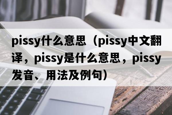 pissy什么意思（pissy中文翻譯，pissy是什么意思，pissy發(fā)音、用法及例句）
