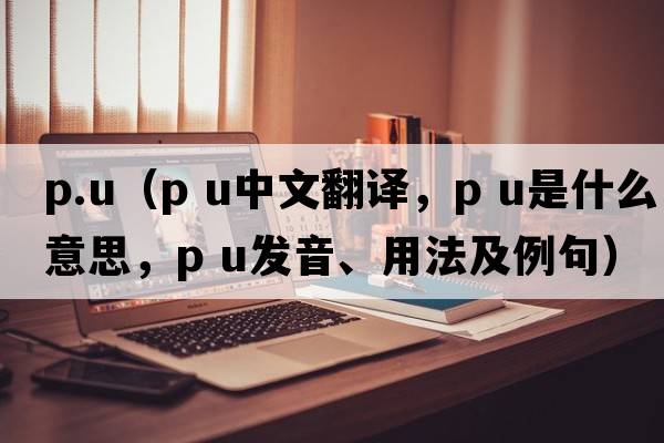 p.u（p u中文翻譯，p u是什么意思，p u發(fā)音、用法及例句）