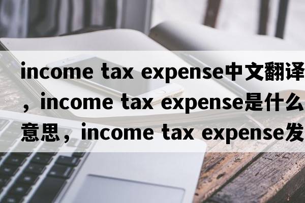 income tax expense中文翻譯，income tax expense是什么意思，income tax expense發(fā)音、用法及例句