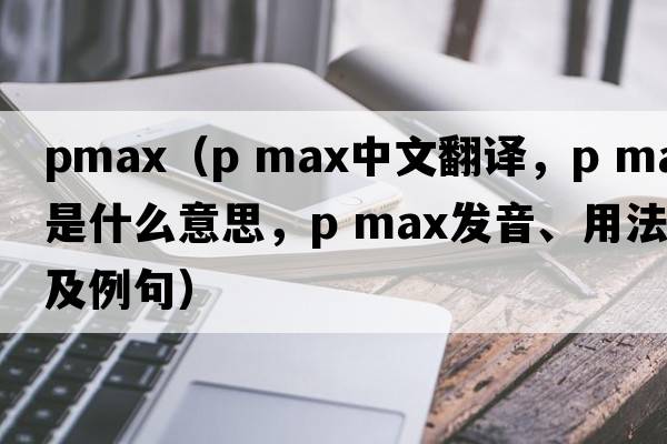 pmax（p max中文翻譯，p max是什么意思，p max發(fā)音、用法及例句）
