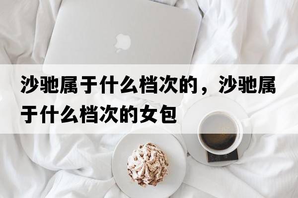 沙馳屬于什么檔次的，沙馳屬于什么檔次的女包