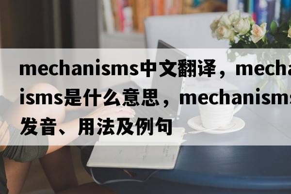 mechanisms中文翻譯，mechanisms是什么意思，mechanisms發(fā)音、用法及例句