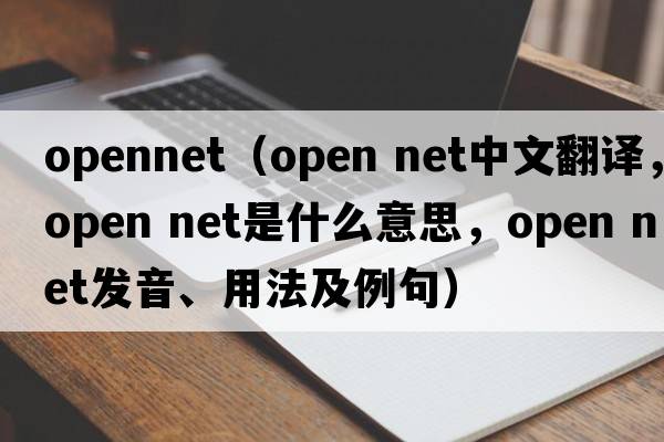 opennet（open net中文翻譯，open net是什么意思，open net發(fā)音、用法及例句）