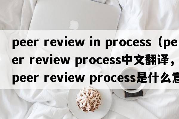 peer review in process（peer review process中文翻譯，peer review process是什么意思，peer review process發(fā)音、用法及例句）
