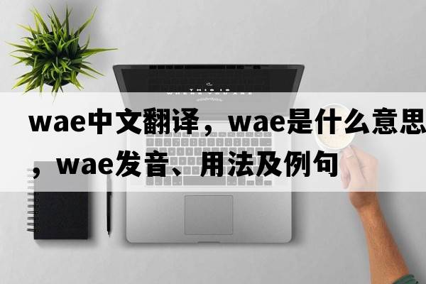 wae中文翻譯，wae是什么意思，wae發(fā)音、用法及例句