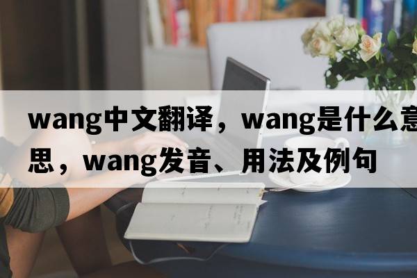 Wang中文翻譯，Wang是什么意思，Wang發(fā)音、用法及例句