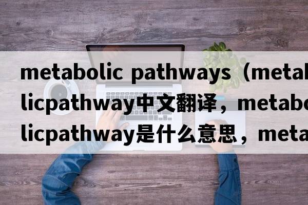metabolic pathways（metabolicpathway中文翻譯，metabolicpathway是什么意思，metabolicpathway發(fā)音、用法及例句）