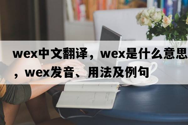 WEX中文翻譯，WEX是什么意思，WEX發(fā)音、用法及例句
