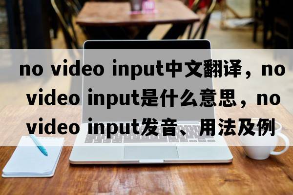 no video input中文翻譯，no video input是什么意思，no video input發(fā)音、用法及例句