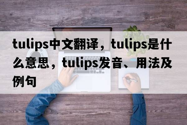 tulips中文翻譯，tulips是什么意思，tulips發(fā)音、用法及例句
