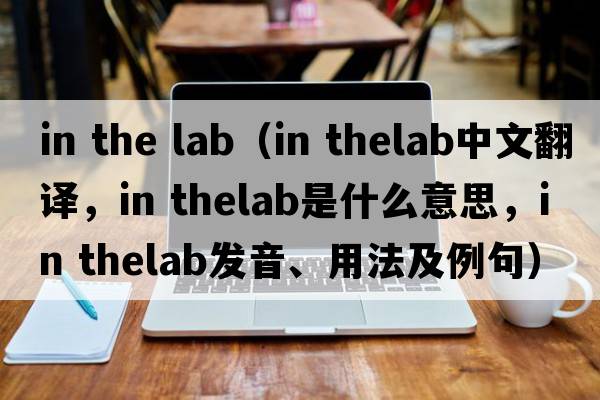 in the lab（in thelab中文翻譯，in thelab是什么意思，in thelab發(fā)音、用法及例句）