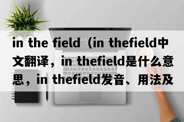 in the field（in thefield中文翻譯，in thefield是什么意思，in thefield發(fā)音、用法及例句）