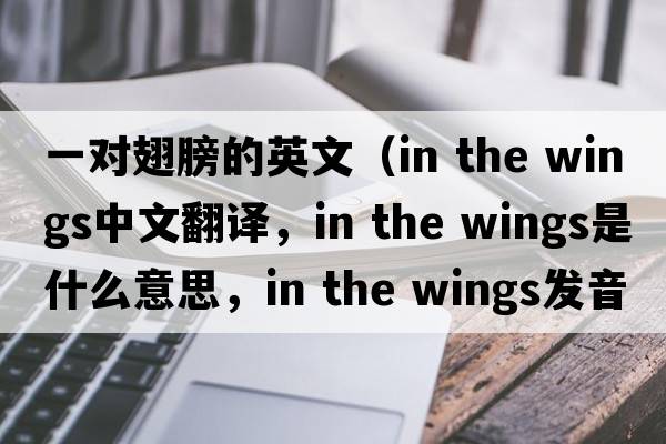 一對翅膀的英文（in the wings中文翻譯，in the wings是什么意思，in the wings發(fā)音、用法及例句）