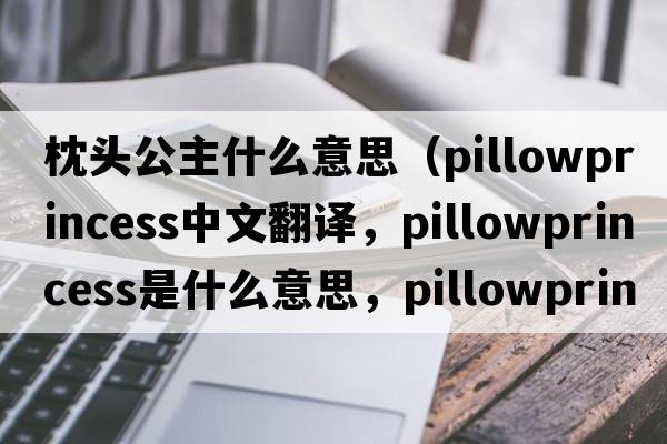 枕頭公主什么意思（pillowprincess中文翻譯，pillowprincess是什么意思，pillowprincess發(fā)音、用法及例句）