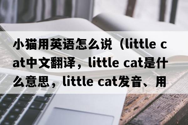 小貓用英語怎么說（little cat中文翻譯，little cat是什么意思，little cat發(fā)音、用法及例句）