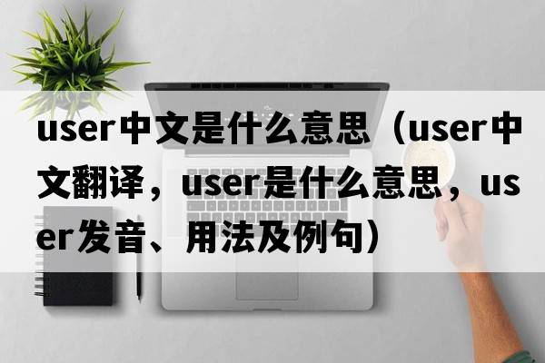 user中文是什么意思（user中文翻譯，user是什么意思，user發(fā)音、用法及例句）