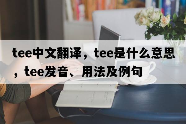 tee中文翻譯，tee是什么意思，tee發(fā)音、用法及例句