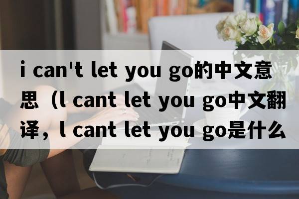i can't let you go的中文意思（l cant let you go中文翻譯，l cant let you go是什么意思，l cant let you go發(fā)音、用法及例句）