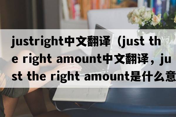 justright中文翻譯（just the right amount中文翻譯，just the right amount是什么意思，just the right amount發(fā)音、用法及例句）