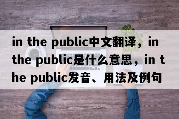 in the public中文翻譯，in the public是什么意思，in the public發(fā)音、用法及例句