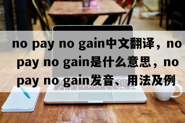 no pay no gain中文翻譯，no pay no gain是什么意思，no pay no gain發(fā)音、用法及例句