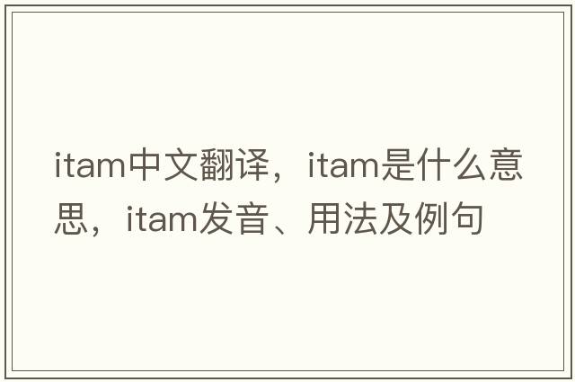 itam中文翻譯，itam是什么意思，itam發(fā)音、用法及例句