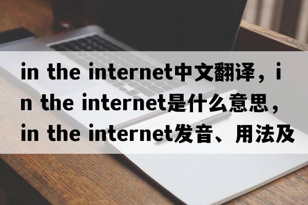 in the internet中文翻譯，in the internet是什么意思，in the internet發(fā)音、用法及例句