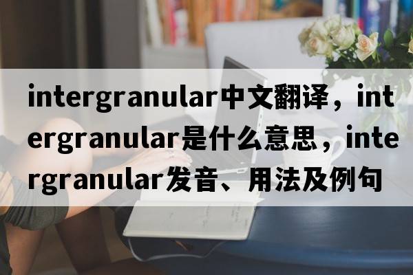 intergranular中文翻譯，intergranular是什么意思，intergranular發(fā)音、用法及例句