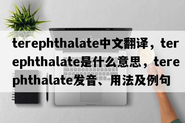 terephthalate中文翻譯，terephthalate是什么意思，terephthalate發(fā)音、用法及例句
