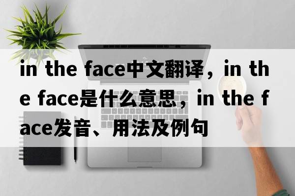 in the face中文翻譯，in the face是什么意思，in the face發(fā)音、用法及例句
