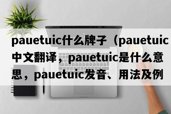 pauetuic什么牌子（pauetuic中文翻譯，pauetuic是什么意思，pauetuic發(fā)音、用法及例句）