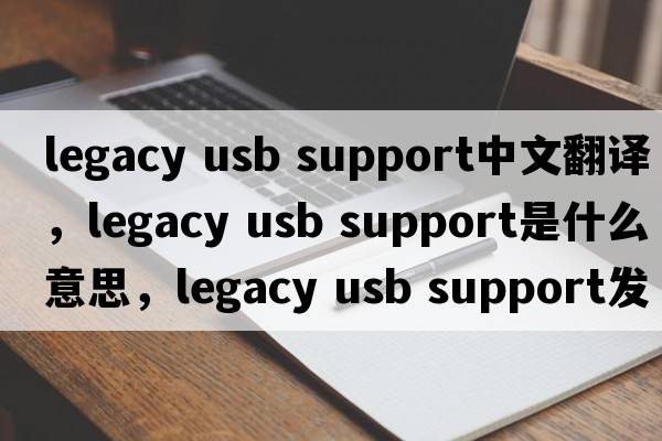 legacy usb support中文翻譯，legacy usb support是什么意思，legacy usb support發(fā)音、用法及例句