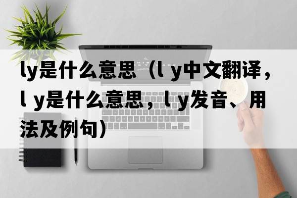 ly是什么意思（l y中文翻譯，l y是什么意思，l y發(fā)音、用法及例句）