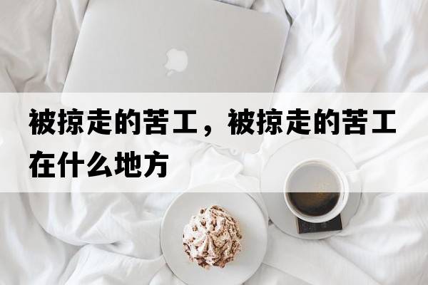 被掠走的苦工，被掠走的苦工在什么地方