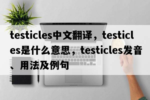 testicles中文翻譯，testicles是什么意思，testicles發(fā)音、用法及例句