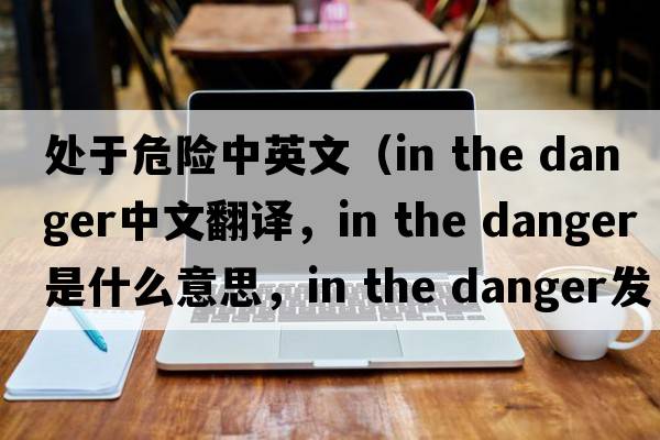 處于危險中英文（in the danger中文翻譯，in the danger是什么意思，in the danger發(fā)音、用法及例句）